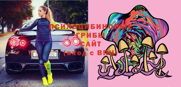 дурь Верхний Тагил